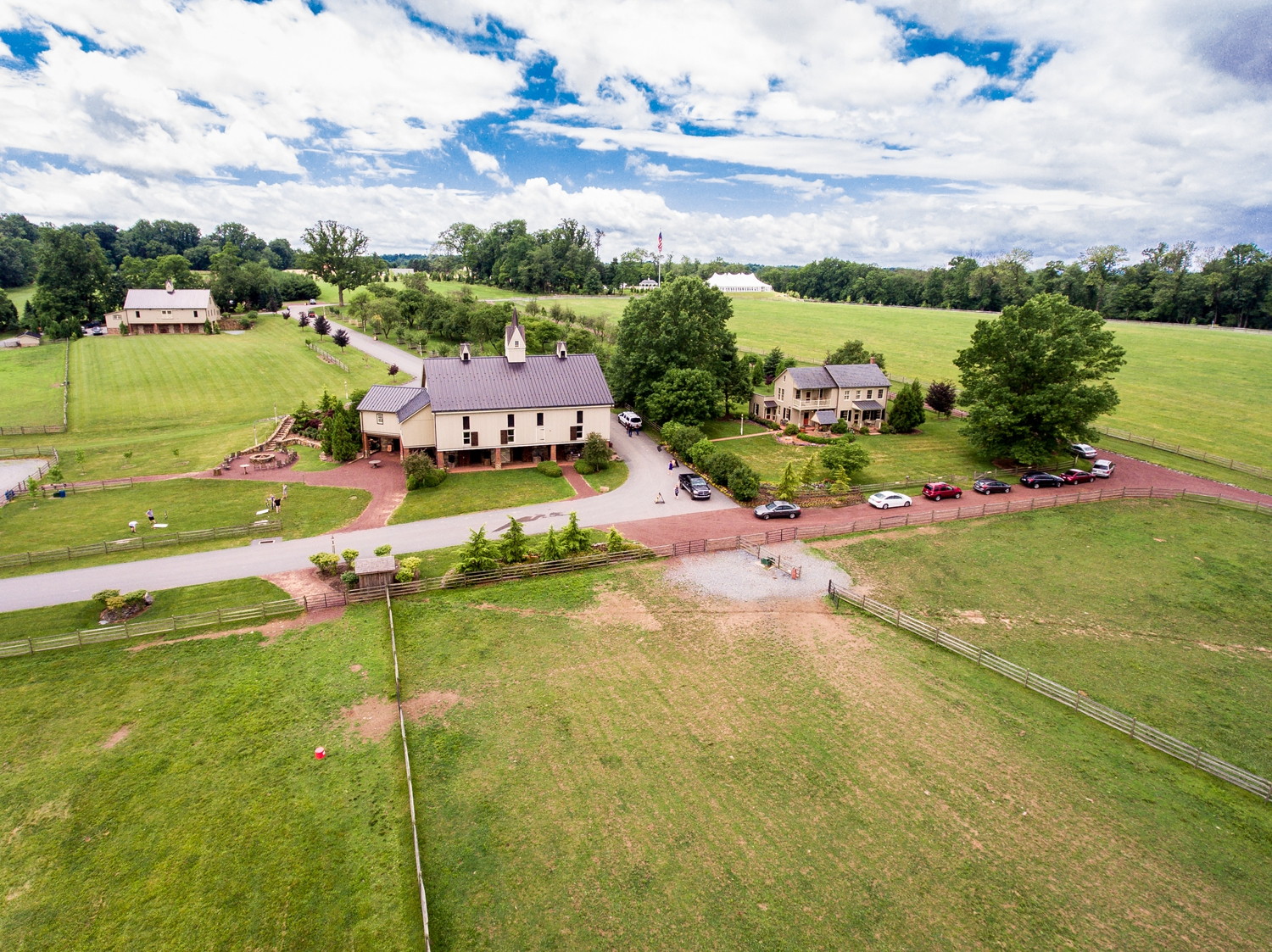 Wedding portraits with animals at Ironstone Ranch
